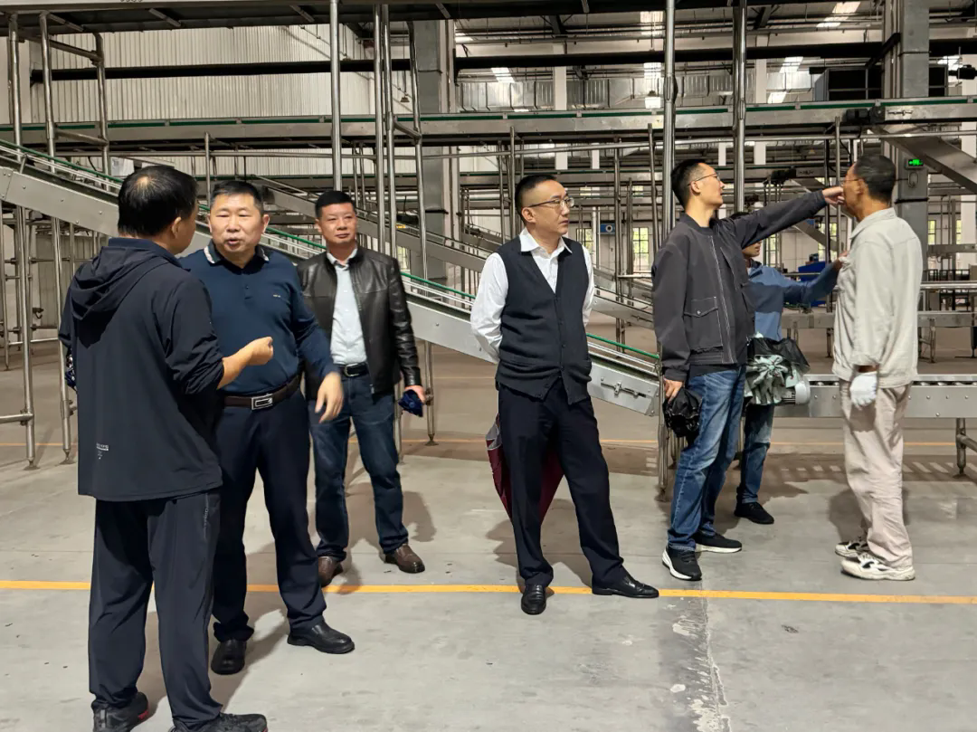 640 (1).webp (1).png